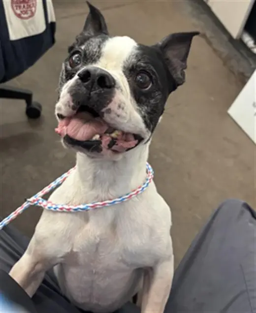 OREO