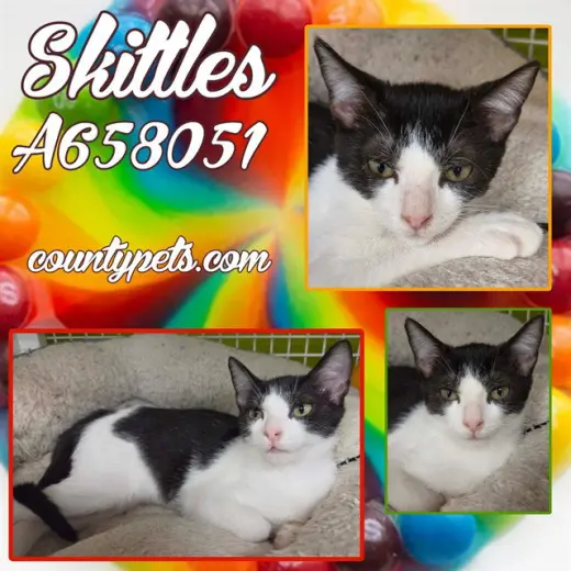 SKITTLES