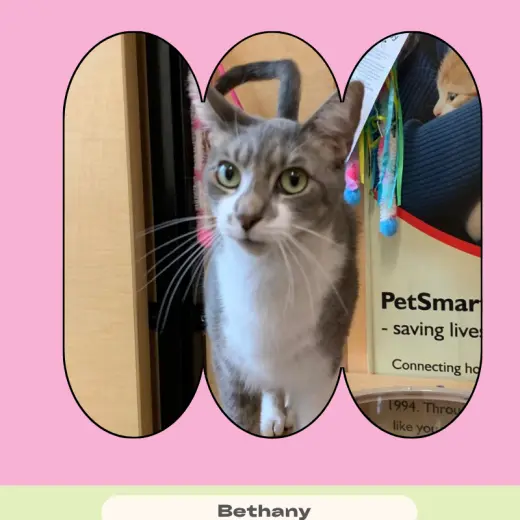 Bethany