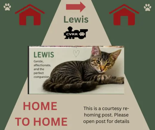 Lewis *Home 2 Home*