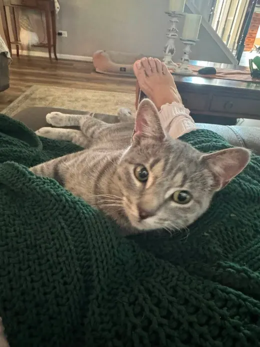 Lilly