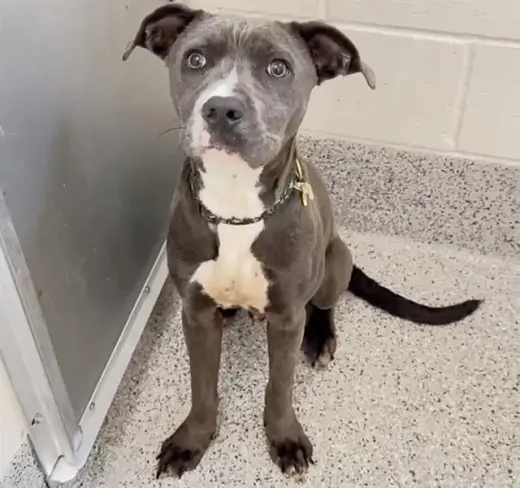 BENNY