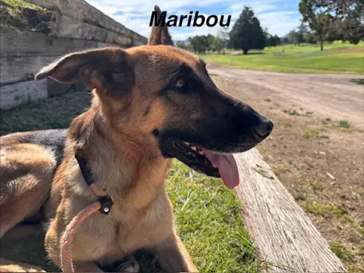 NALA