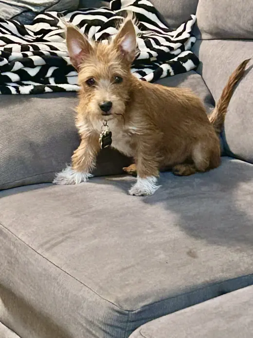 Max