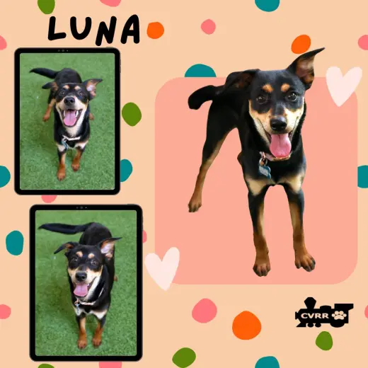 Luna