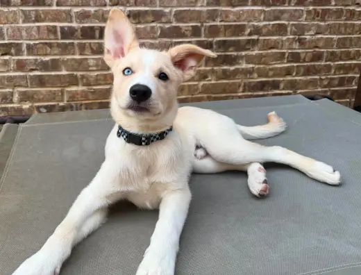 Murphy