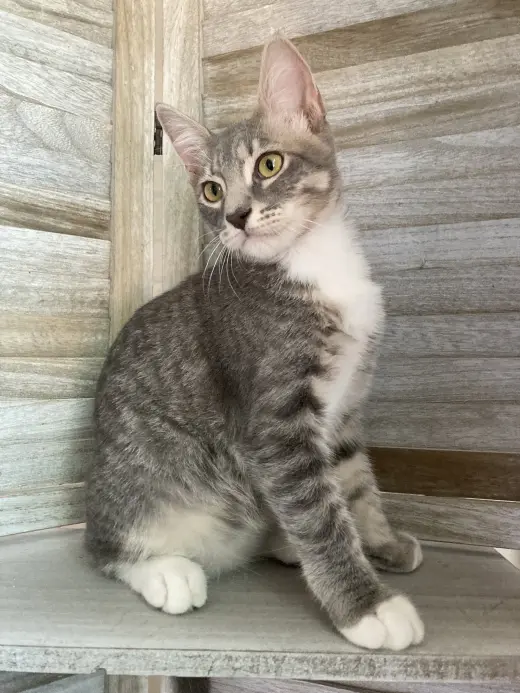 Max