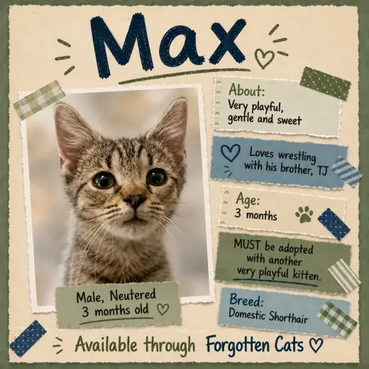 Max (FCID# 08/18/2026 - 8 Brandywine PS) C