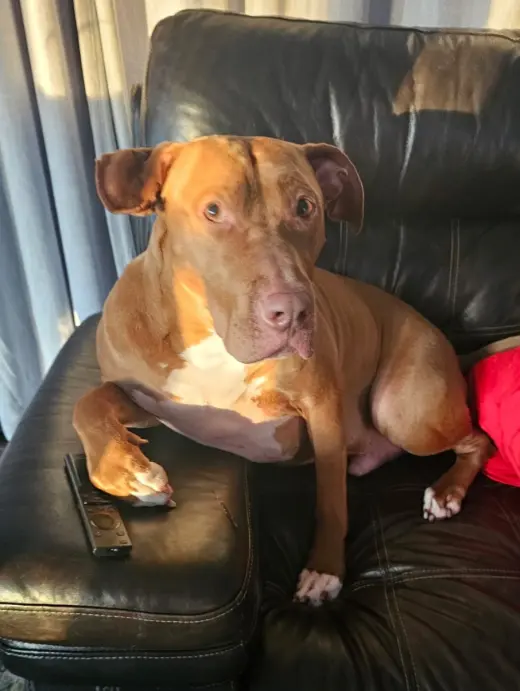 Caesar