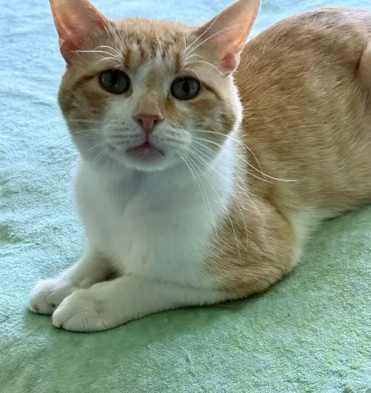 Miguel