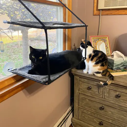 Boo & Scout