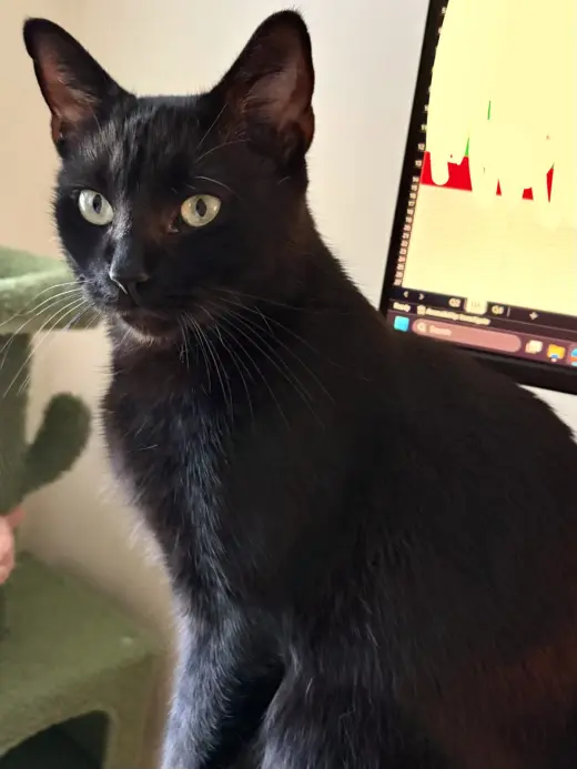 Jade