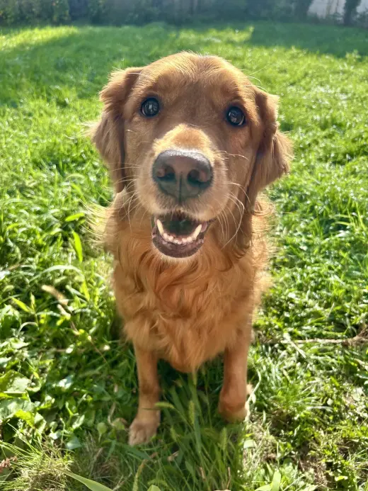 Ruby