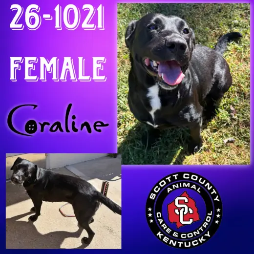 Coraline