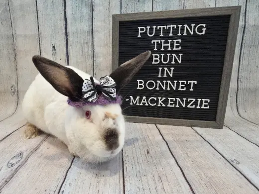 Mackenzie