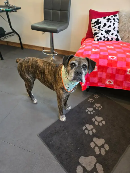 Penny