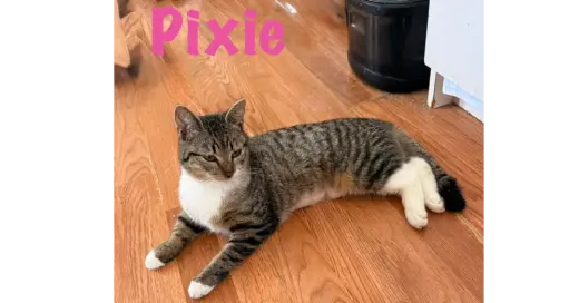 Pixie