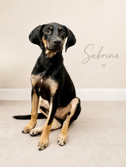 Sabrina- long legged beauty