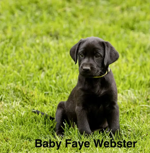 Baby Faye Webster