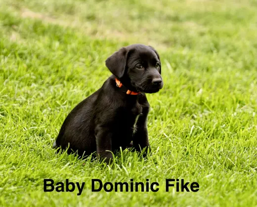 Baby Dominic Fike