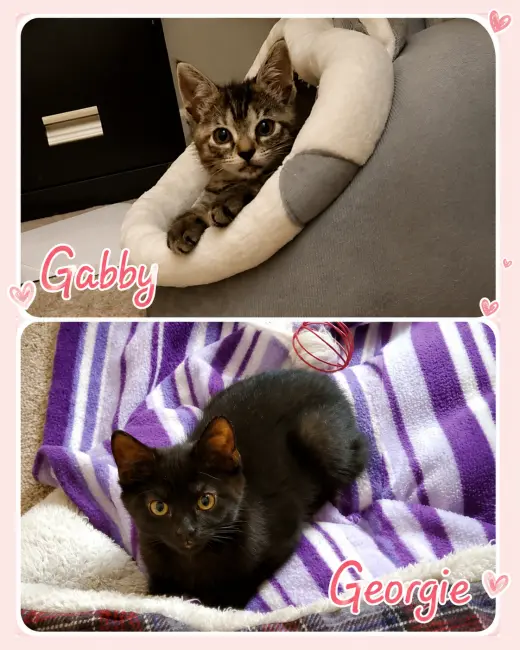 Gabby & Georgie