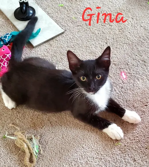 Gina =^.^=