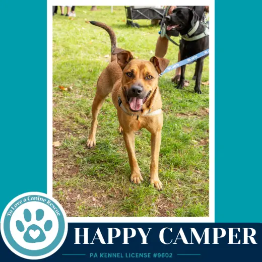 Happy Camper 082226
