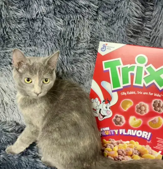 Trix
