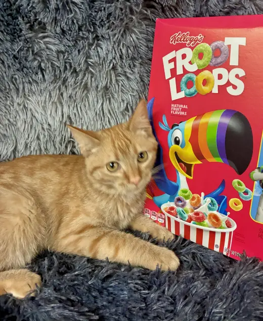 Froot Loops