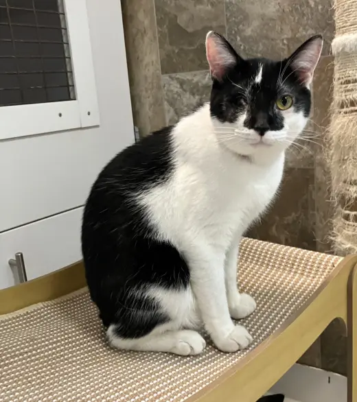 Tux