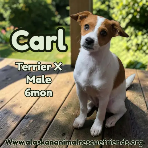 Carl