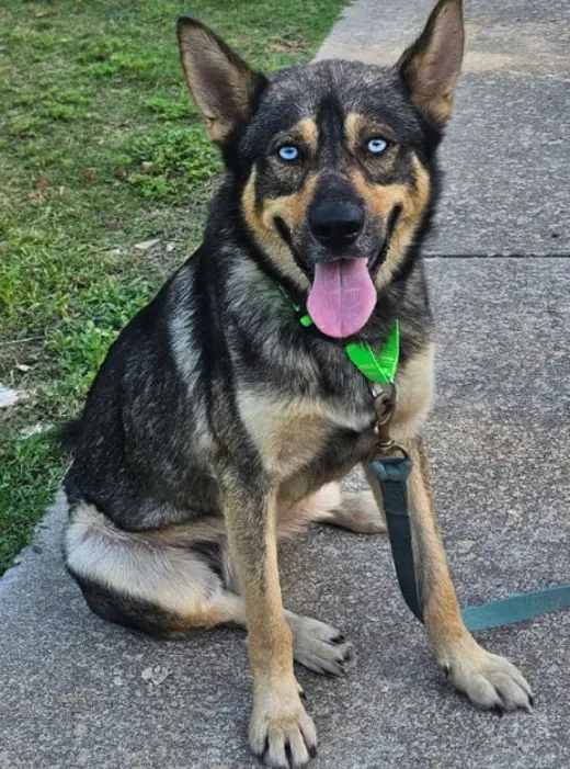 Sinatra