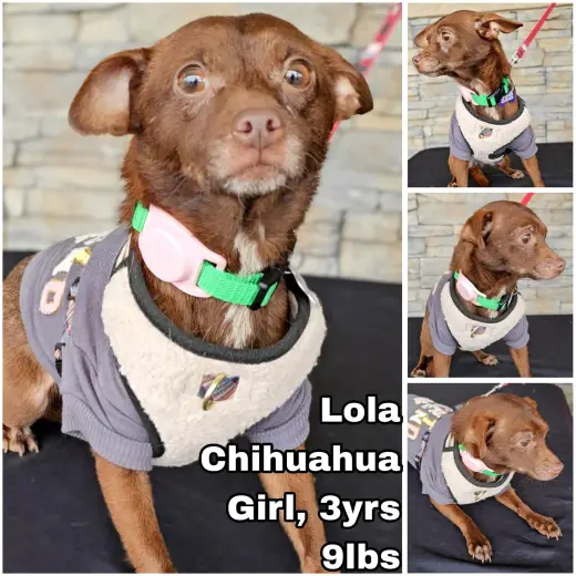 Lola from Mexico