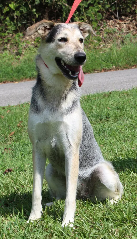 Sadie 42953