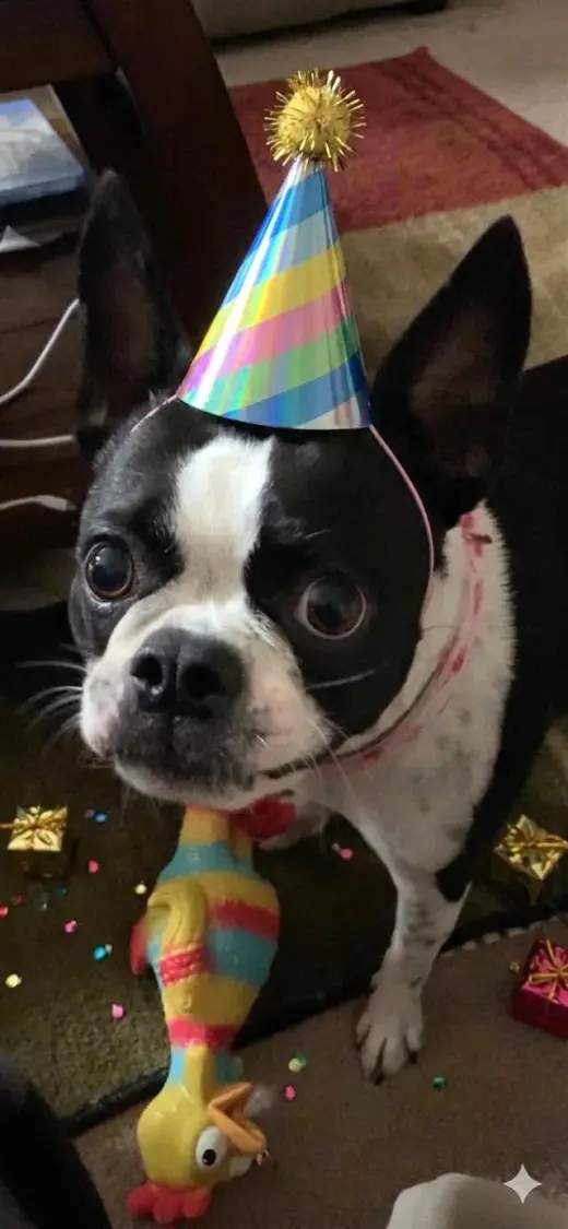 Coco