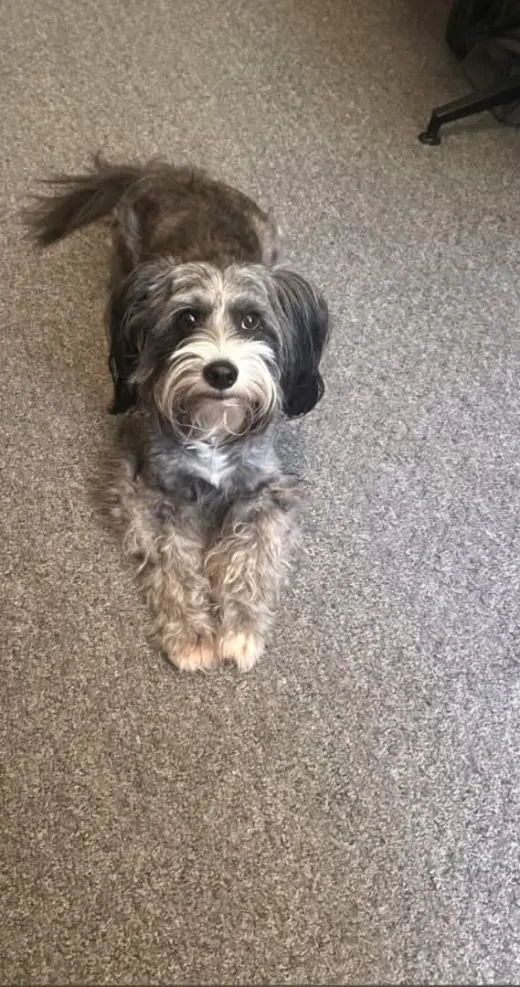 Bobby