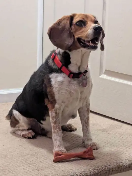 Benny