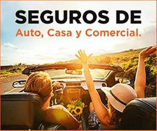 SEGUROS DESDE $13 AL MES