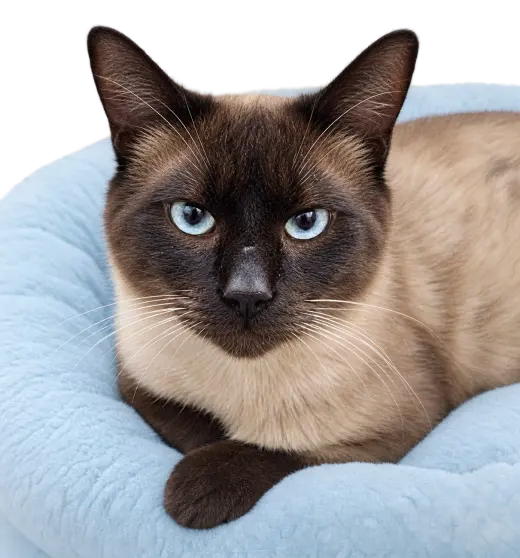 KITTY MARTIN #2038 - Offered by Owner - Friendly