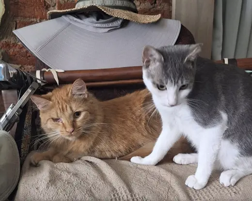 zz - Joe and Mike