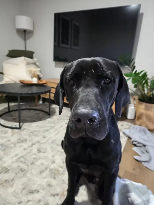 Mr. Bane