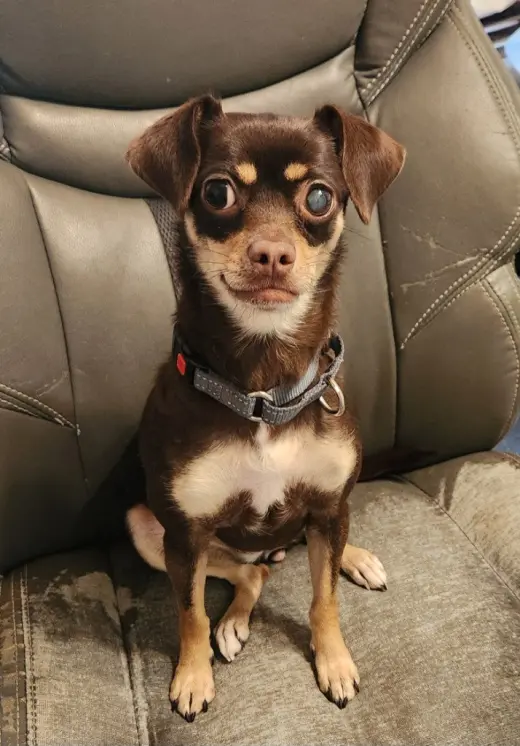 Mia