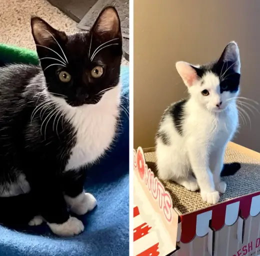 Arthur / Clive