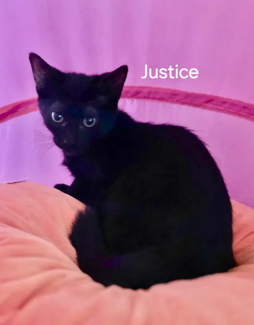 Justice