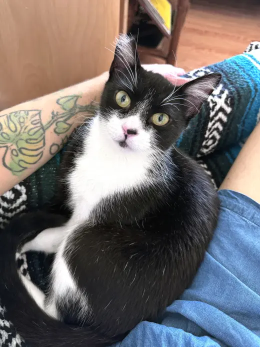 Jonesy