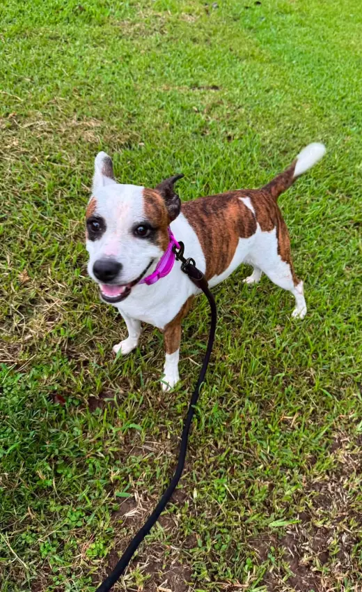 Beans- beautiful girl