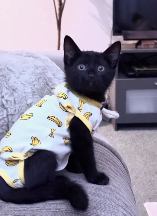 Binx