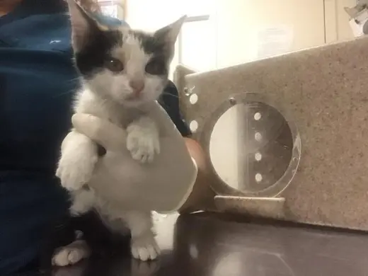YUMI