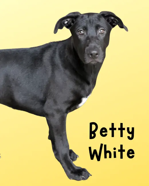 Betty White