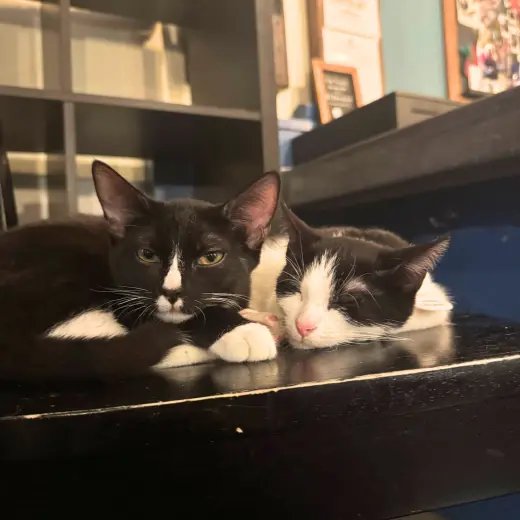Captain Crunch & Lucky Charm